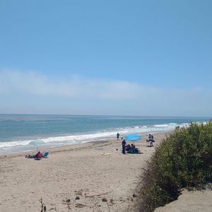 Meet your Posher, Amelia